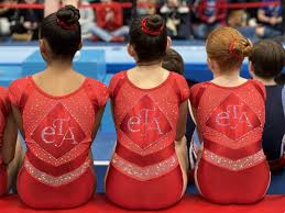 Image result for Team Lightning Trampoline Club