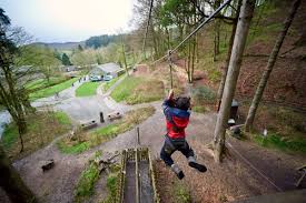 Image result for Go Ape! Grizedale