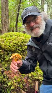 Attēlu rezultāti vaicājumam “Physarum confertum sessile”