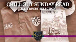 Image result for London Irish Rfc