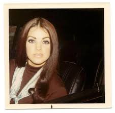 Attēlu rezultāti vaicājumam “Licea pusilla young”