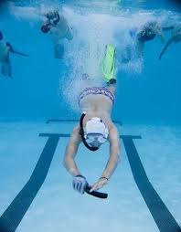 Image result for Worcester Divers Octopush Club