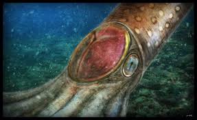 Attēlu rezultāti vaicājumam “Endoceras”