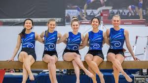 Image result for Stevenage Sports Acro Club