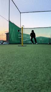 Image result for Calne Cricket Club