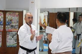 Image result for Seiki Juku Karate Organisation
