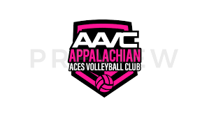 Image result for Reading Aces Volleyball Club