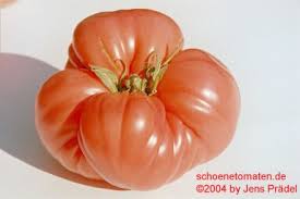 Afbeeldingsresultaat voor crnkovic yugoslavian tomato