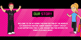 Image result for Wyvern Dragons Junior Badminton Club