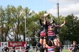 Image result for Braintree Rugby Union Football Club