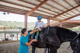 Image result for Shey Copse Riding Centre