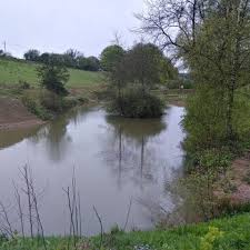 Image result for Swanage & District Angling Club