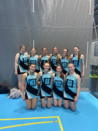 Image result for Lastonet Netball Club