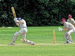 Image result for Shillingstone Cricket Club