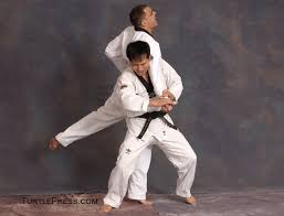 Image result for English International Allstyles Taekwon-Do