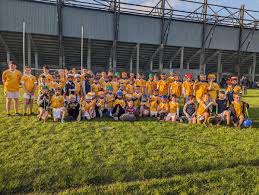 Image result for Shamrocks Hurling & Football Club