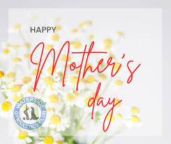 Image result for Waterside Gymnastics Club