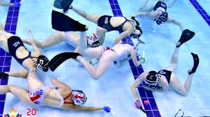 Image result for Dublin Underwater Hockey Team