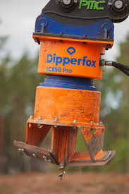 Image result for dipperfox tehron