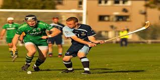 Image result for World of Shinty
