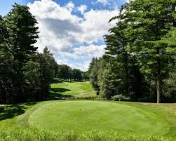 Image result for Ipswich Sports Club