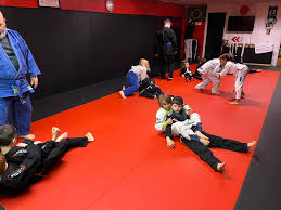 Image result for Red Rose Ju Jitsu Club