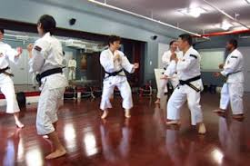 Image result for Imperial College Shorinji Kempo Society
