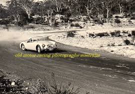 Image result for Rosedale Old Cestrians Sports Club