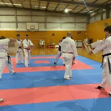 Image result for Bytomic Tae Kwon Do Beaconsfield