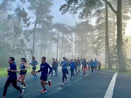 Image result for 26 2 Road Runners Club