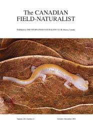 Attēlu rezultāti vaicājumam “Seligeria donniana”