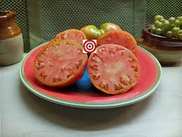 Afbeeldingsresultaat voor erdie family oxheart tomato