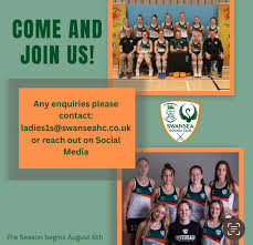 Image result for Swansea Ladies Hockey Club