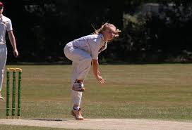 Image result for Worlingworth Cricket Club