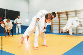 Image result for yonju dojo