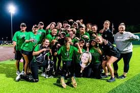 Image result for Dragons Softball Club