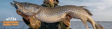 Image result for Crowthorne Angling