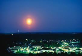 Attēlu rezultāti vaicājumam “pollen corona”