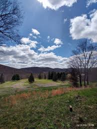 Image result for Bongos Disc Golf Club