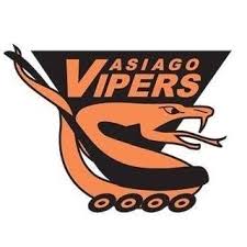 Image result for Vipers Roller Hockey Team