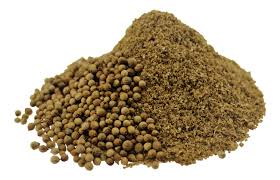 Image result for Koriander