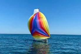 Image result for Pogo minitransat