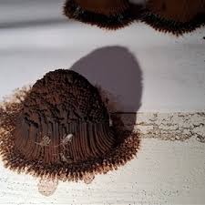 Attēlu rezultāti vaicājumam “Stemonitis splendens spores”