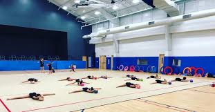 Image result for Asymmetrix Gymnastics Club