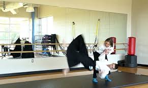Image result for Durham City Aikikai