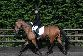 Image result for Palmers Riding Stables