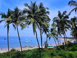 Image result for goa beaches