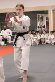 Image result for Seiki Juku Karate Club