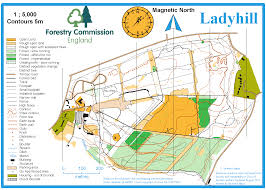 Image result for Walton Chasers Orienteering Club