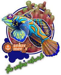 Image result for Myzopsetta ferruginea